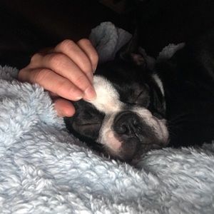 Meet your Posher, Celia